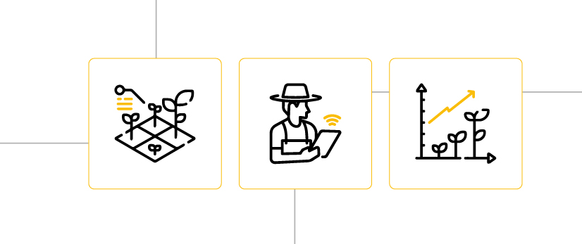 Indicadores Agrícolas na propriedade rural: o que são e qual sua importância?