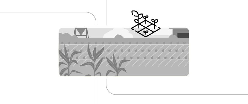 O que é o Zoneamento Agrícola do Risco Climático e qual sua importância?